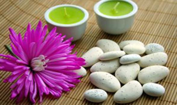 Ayurvedic Treatment Herbs