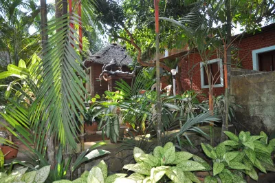 Doctor Franklin in Kerala, India