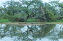 Bharatpur National Park