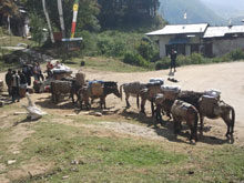 Bhutan Trekking Tour