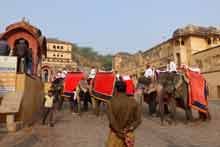 elephant ride jaipur