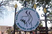 Keoladeo National Park