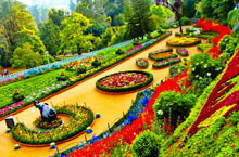 Botanical garden Ooty