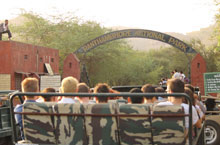 Tiger Safari